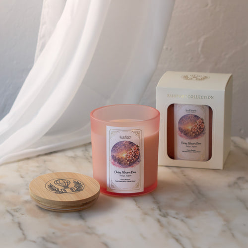 Cherry Blossom Rain — Tokyo, Japan