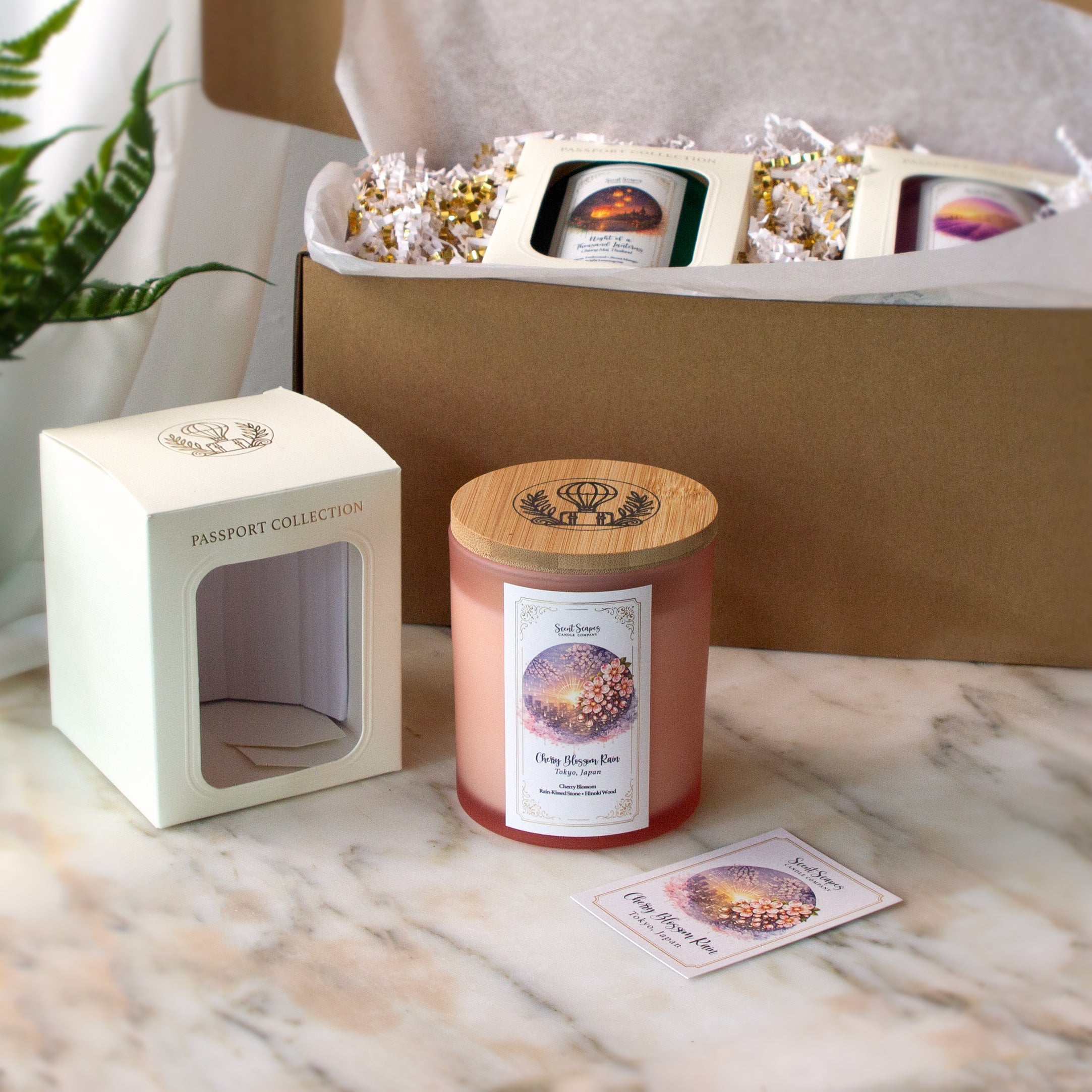 Cherry Blossom Rain — Tokyo, Japan